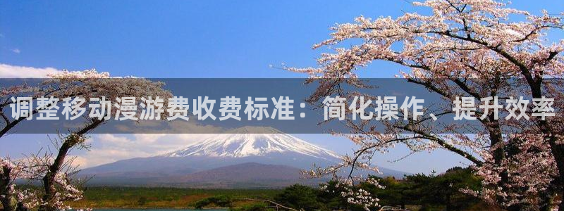 91动漫动作大片：调整移动漫游费收费标准：简化操作、提升效率