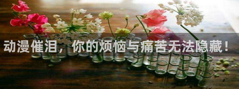 91动漫app下载：动漫催泪，你的烦恼与痛苦无法隐藏！