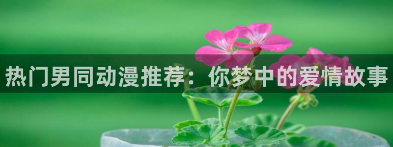 91动漫照片：热门男同动漫推荐：你梦中的爱情故事