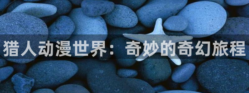 91动漫在线观看：猎人动漫世界：奇妙的奇幻旅程