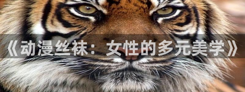 91动漫网页：《动漫丝袜：女性的多元美学》