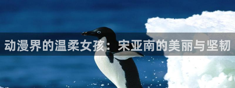 91动漫 下载：动漫界的温柔女孩：宋亚南的美丽与坚韧