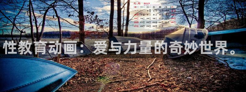 91动漫在线免费看：性教育动画：爱与力量的奇妙世界。