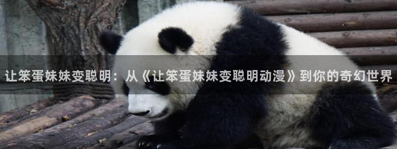91动漫专区：让笨蛋妹妹变聪明：从《让笨蛋妹妹变聪明动漫》到你的奇幻世界
